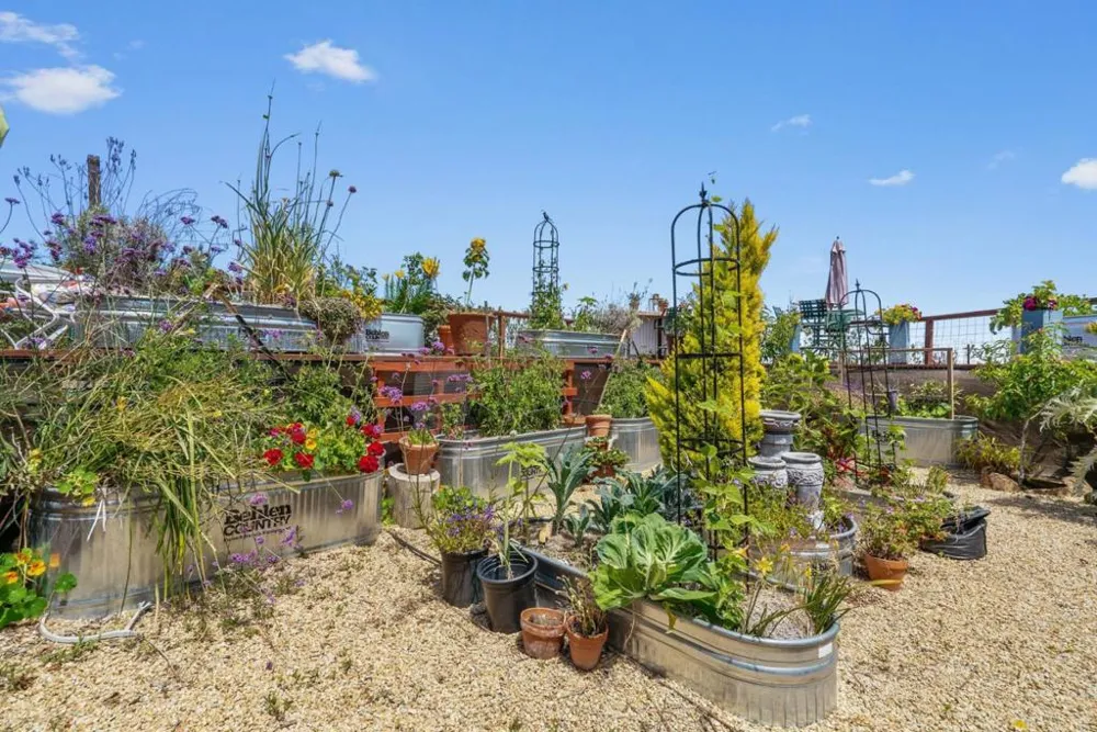 200 McAmant Drive Santa Cruz, CA 95060
