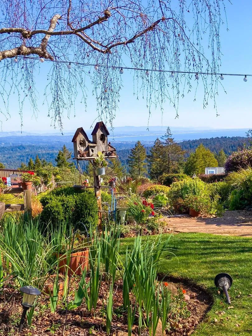 200 McAmant Drive Santa Cruz, CA 95060