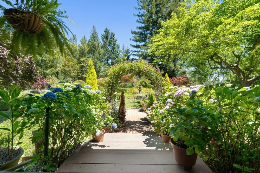 200 McAmant Drive Santa Cruz, CA 95060