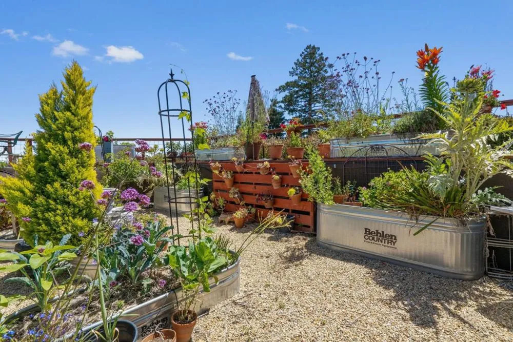 200 McAmant Drive Santa Cruz, CA 95060