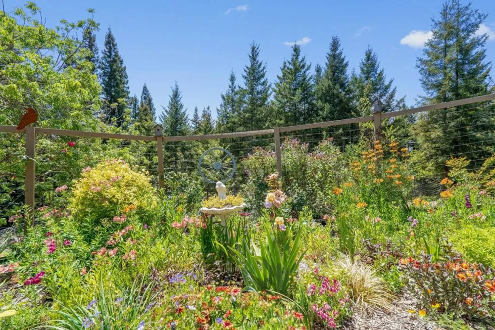 200 McAmant Drive Santa Cruz, CA 95060