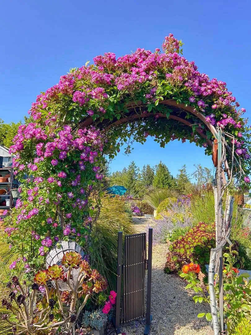 200 McAmant Drive Santa Cruz, CA 95060