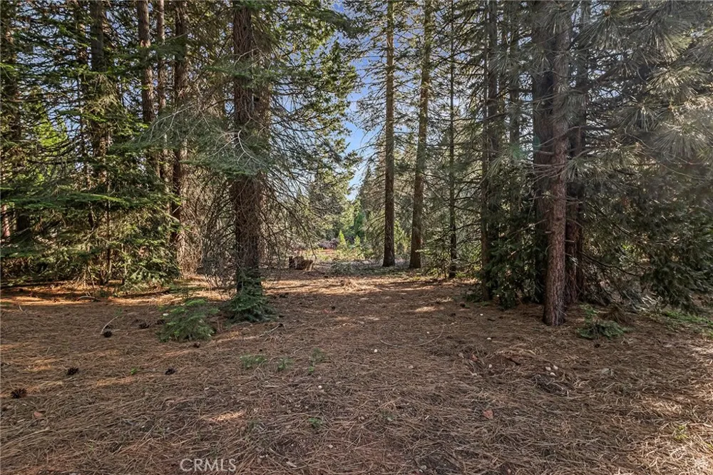 278 Red River Lake Almanor Peninsula, CA 96137