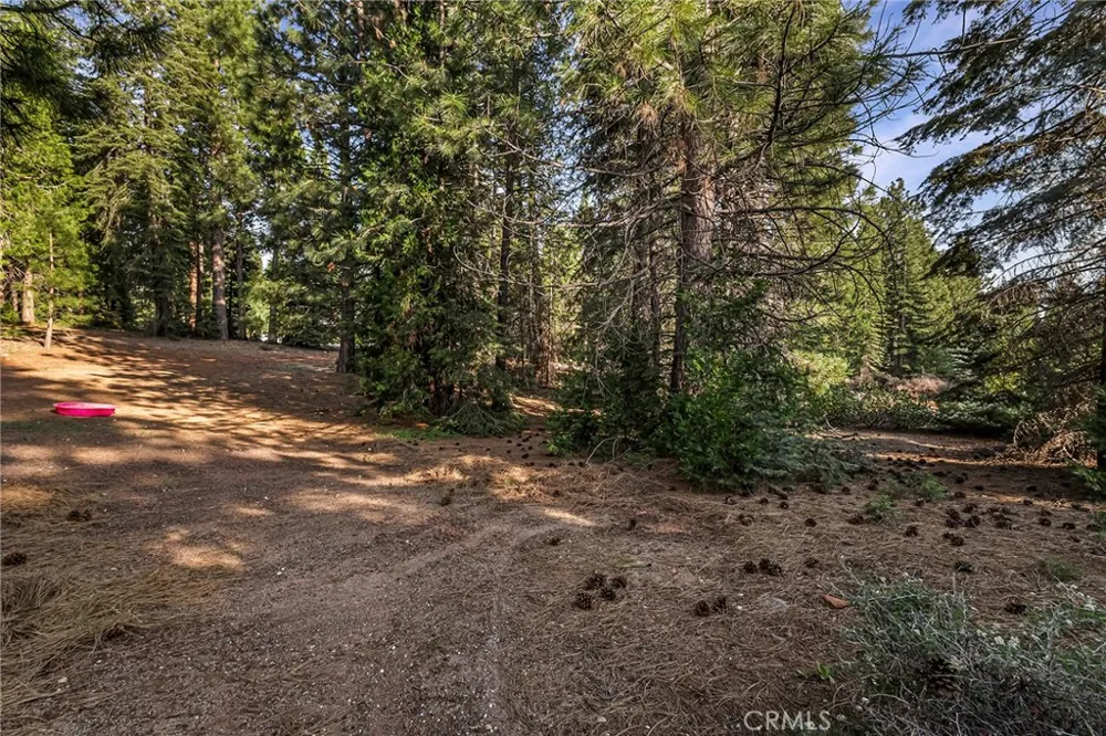 278 Red River Lake Almanor Peninsula, CA 96137