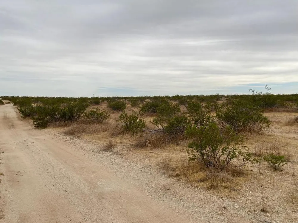 19 Hwy 395 Other, CA 99999