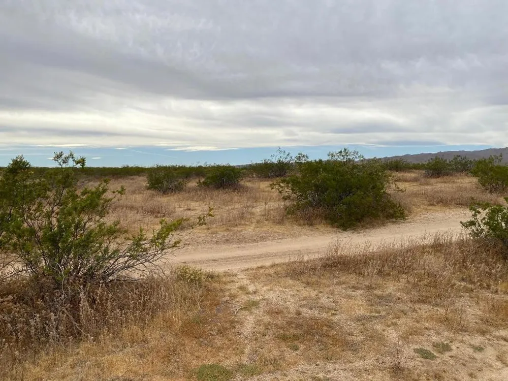 19 Hwy 395 Other, CA 99999