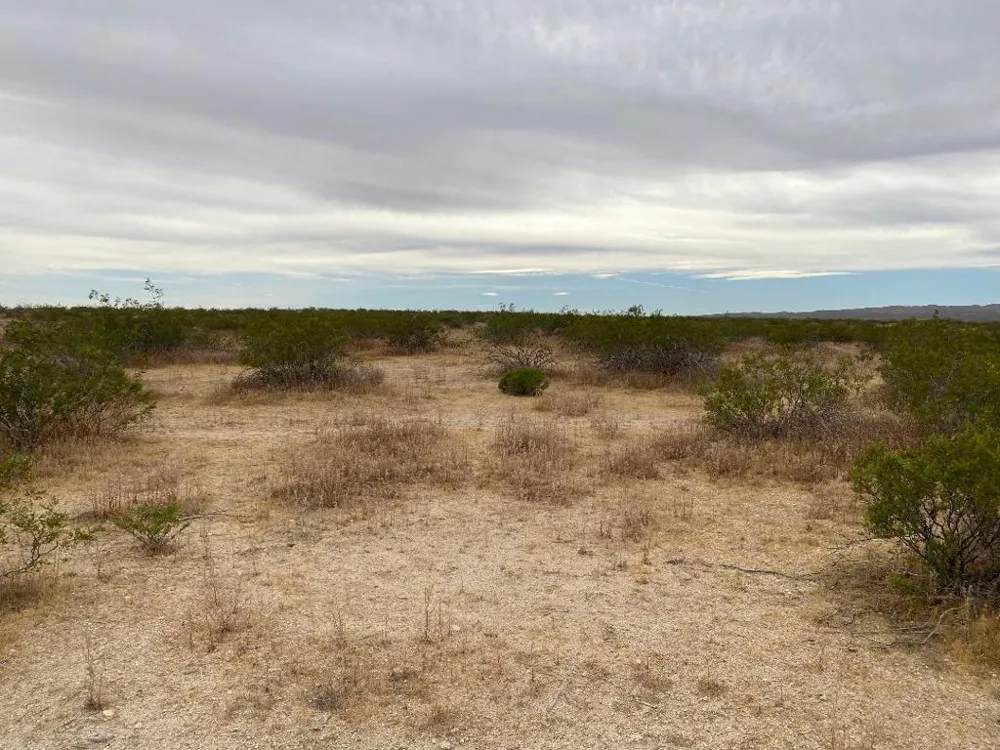 19 Hwy 395 Other, CA 99999
