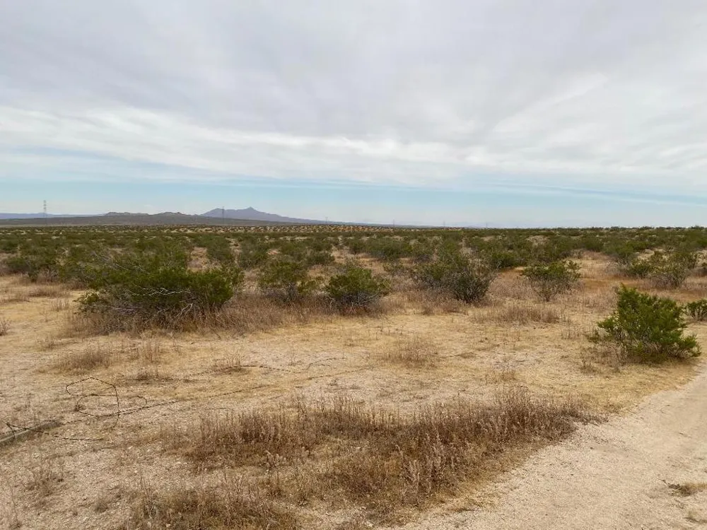 19 Hwy 395 Other, CA 99999