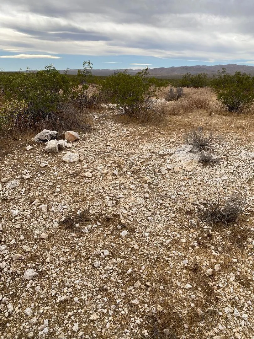 19 Hwy 395 Other, CA 99999