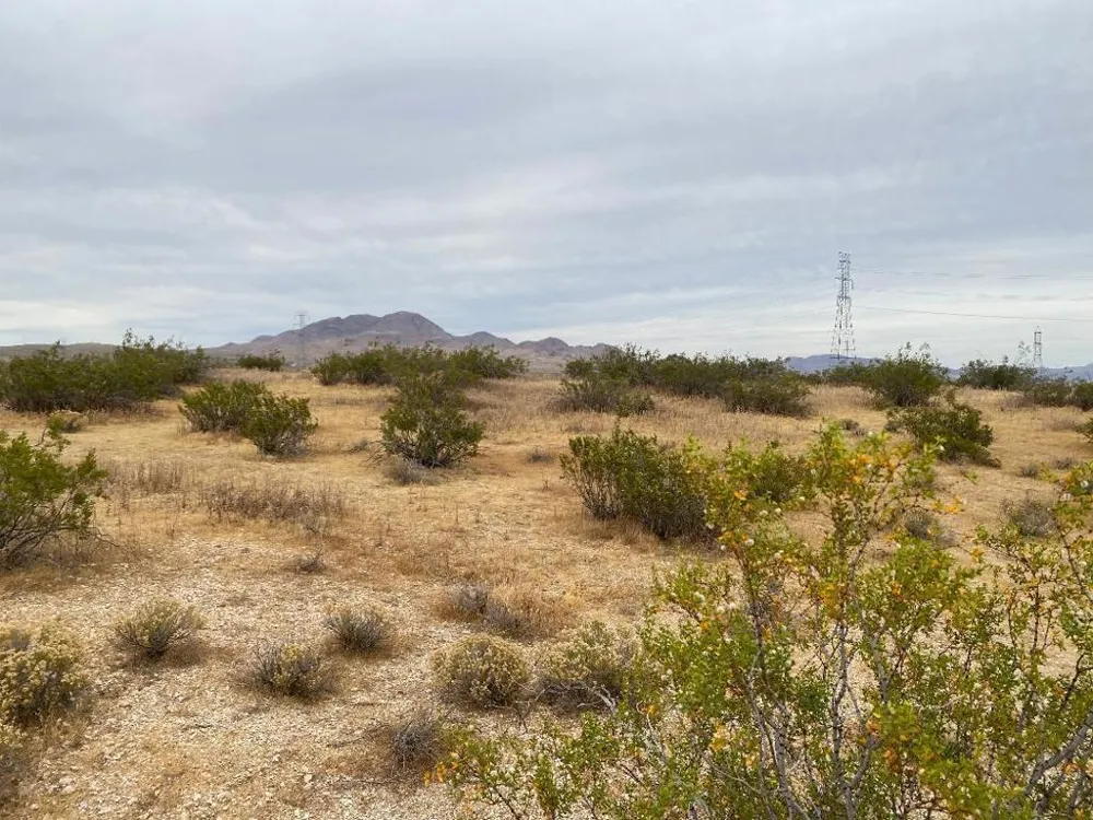 19 Hwy 395 Other, CA 99999