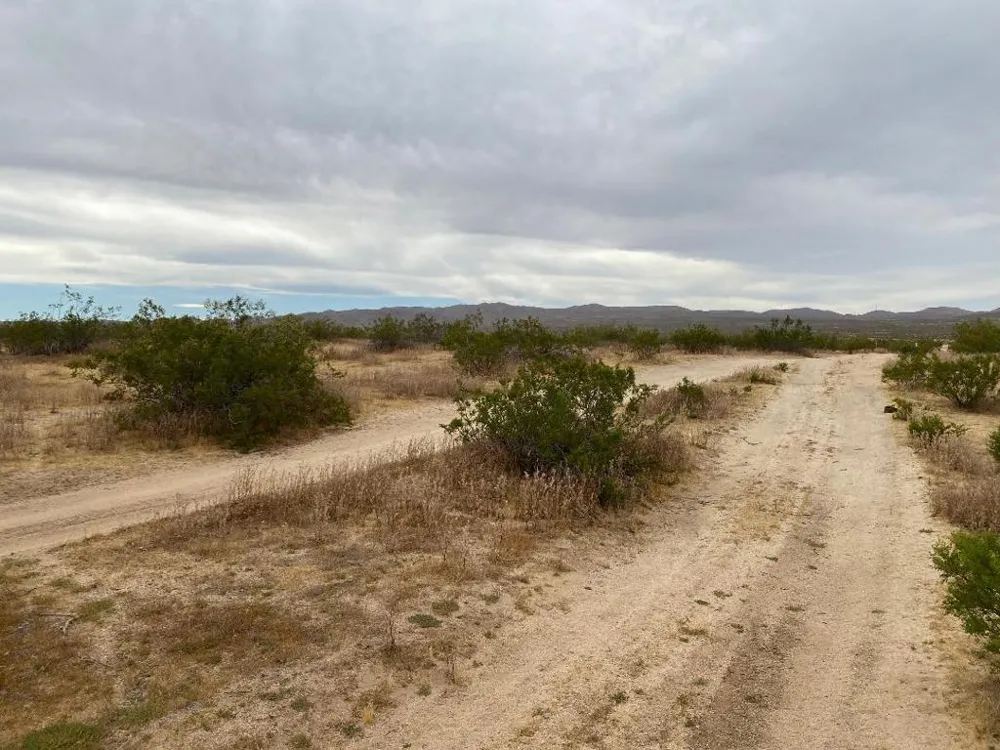 19 Hwy 395 Other, CA 99999