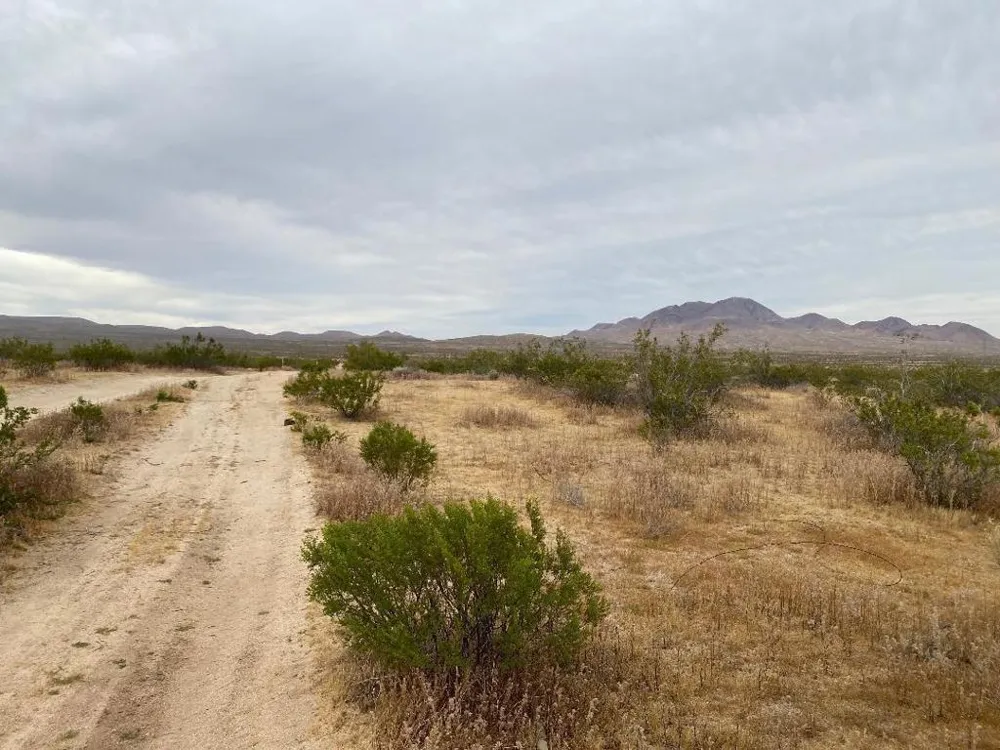 19 Hwy 395 Other, CA 99999