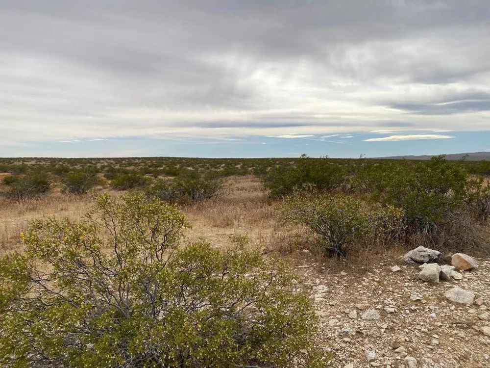 19 Hwy 395 Other, CA 99999