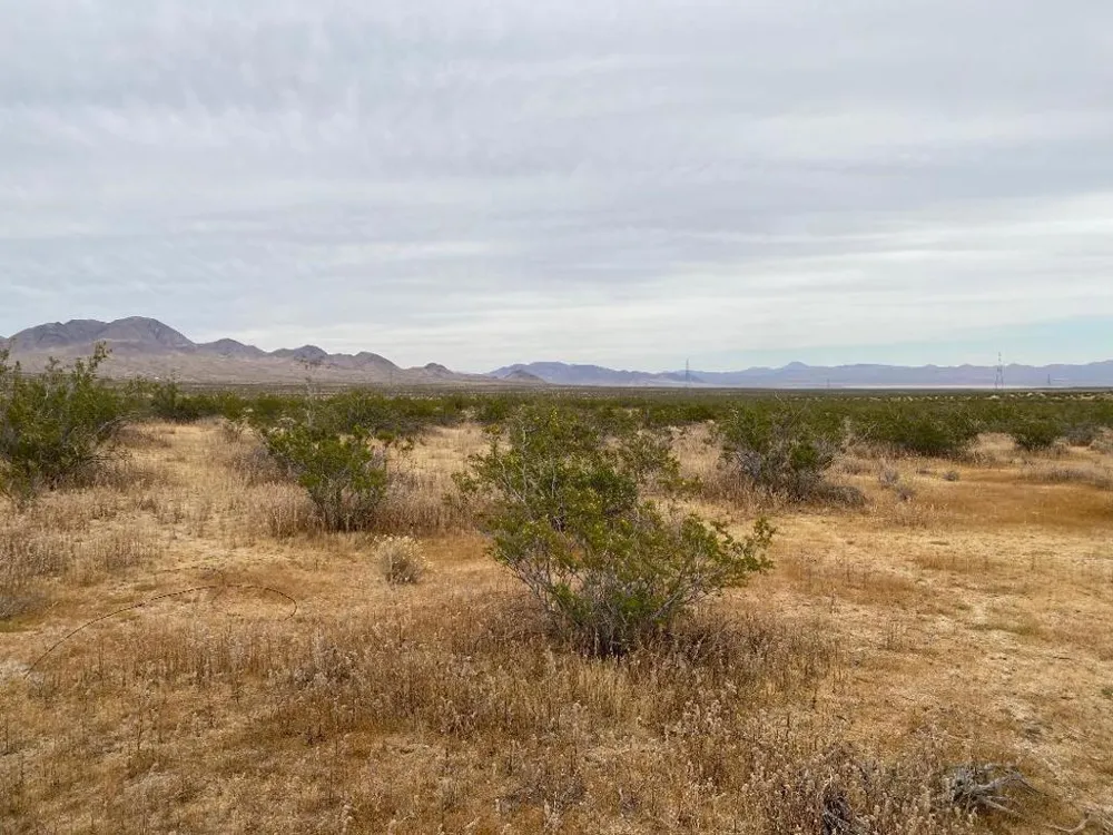 19 Hwy 395 Other, CA 99999