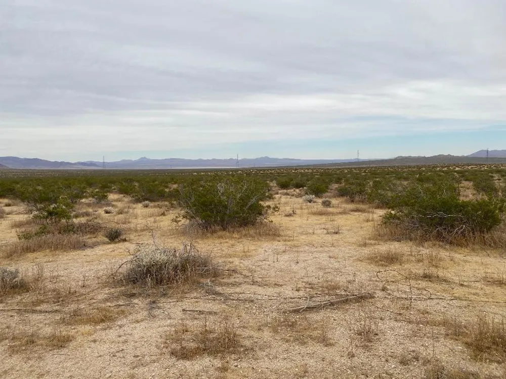 19 Hwy 395 Other, CA 99999