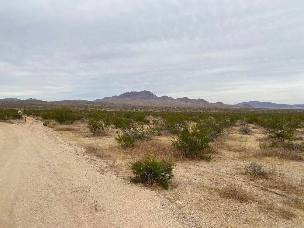 19 Hwy 395 Other, CA 99999