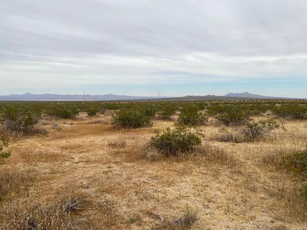 19 Hwy 395 Other, CA 99999
