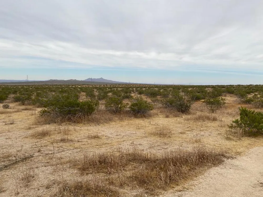 19 Hwy 395 Other, CA 99999