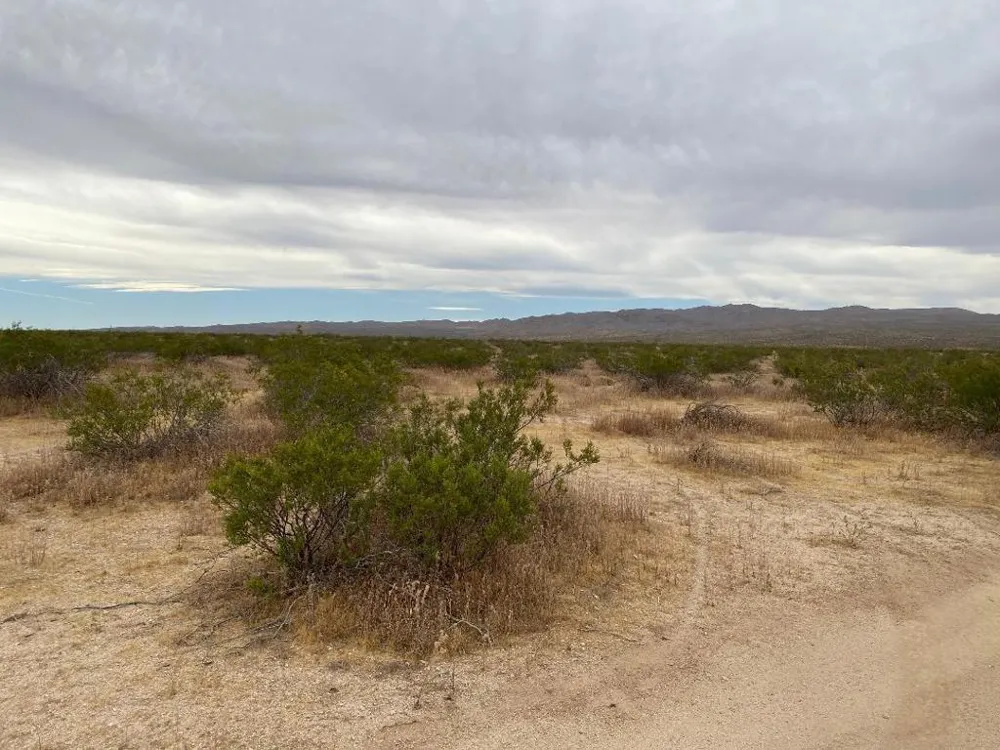 19 Hwy 395 Other, CA 99999