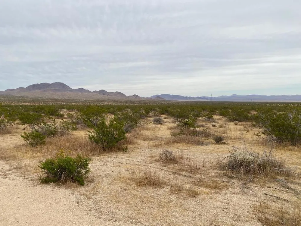 19 Hwy 395 Other, CA 99999