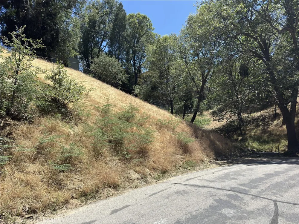 338 Davos Drive Crestline, CA 92325