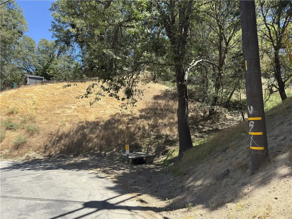 338 Davos Drive Crestline, CA 92325