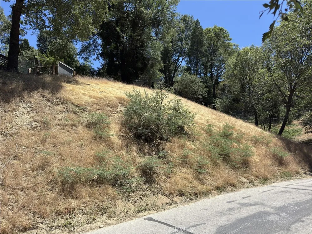 338 Davos Drive Crestline, CA 92325
