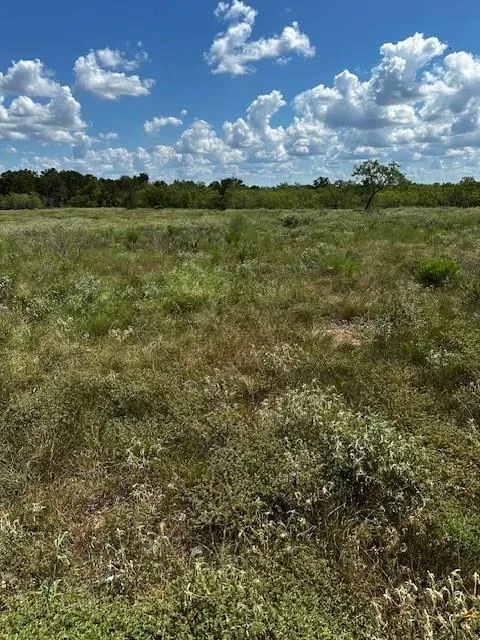 3 County Road  420 Waelder, TX 78959
