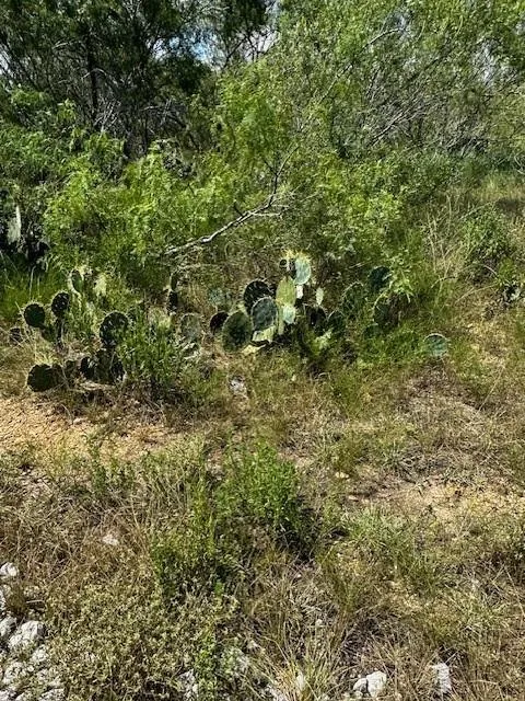 3 County Road  420 Waelder, TX 78959