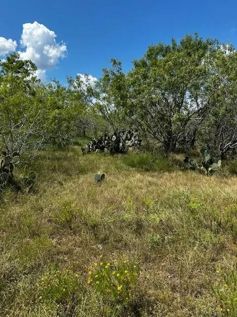 3 County Road  420 Waelder, TX 78959