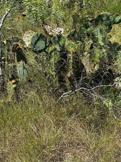 3 County Road  420 Waelder, TX 78959