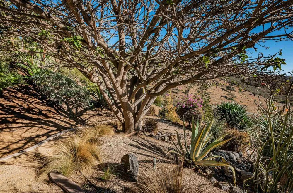 2362 Edgehill Road Vista, CA 92084