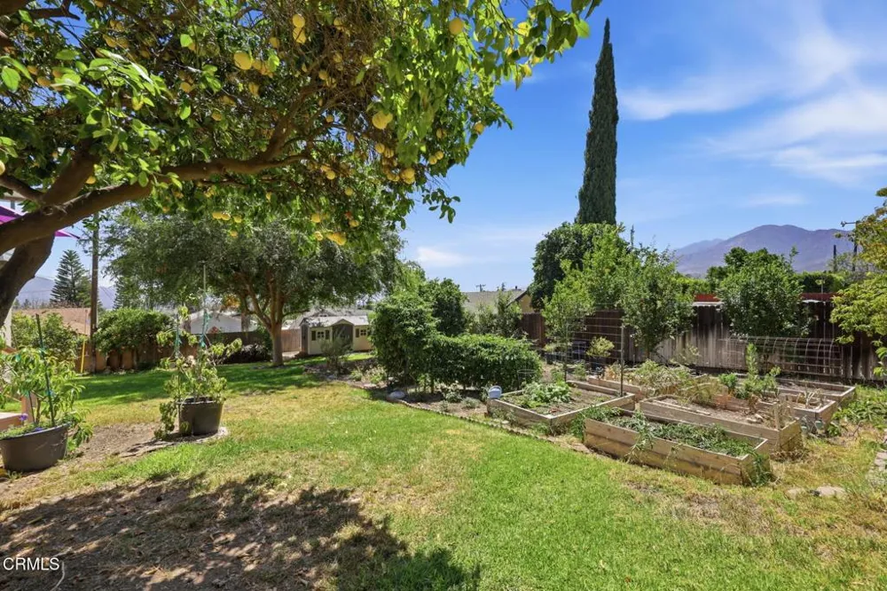 379 Foothill Drive Fillmore, CA 93015
