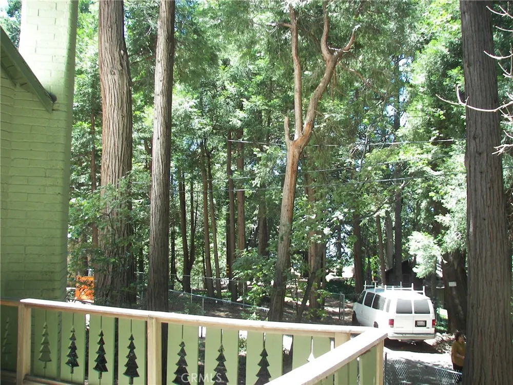 1101 Big Tree Crestline, CA 92325