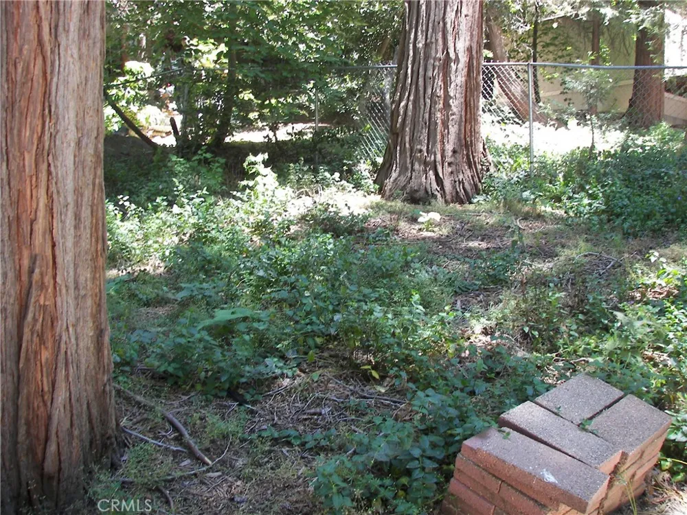 1101 Big Tree Crestline, CA 92325