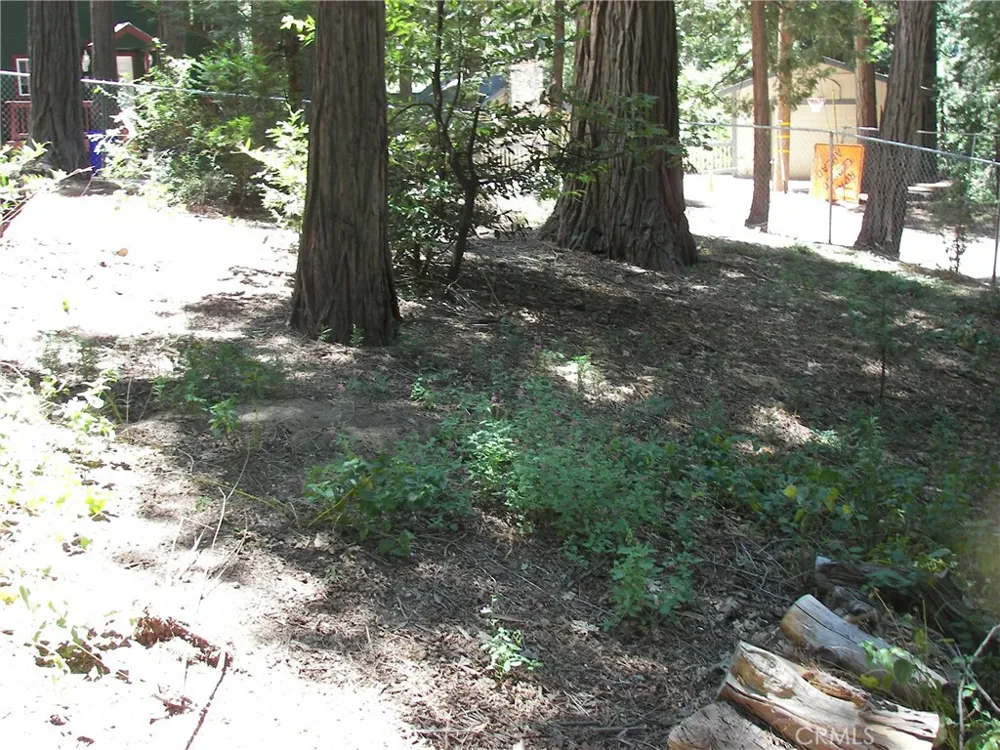 1101 Big Tree Crestline, CA 92325