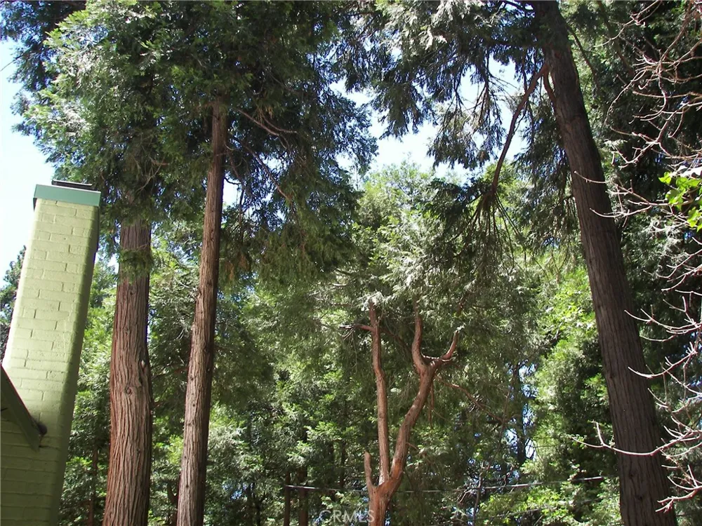 1101 Big Tree Crestline, CA 92325