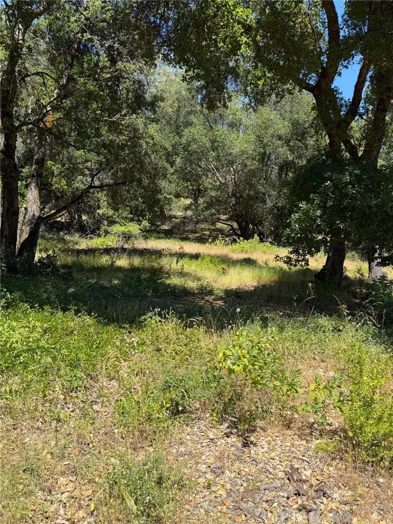 6185 Soda Bay Kelseyville, CA 95451