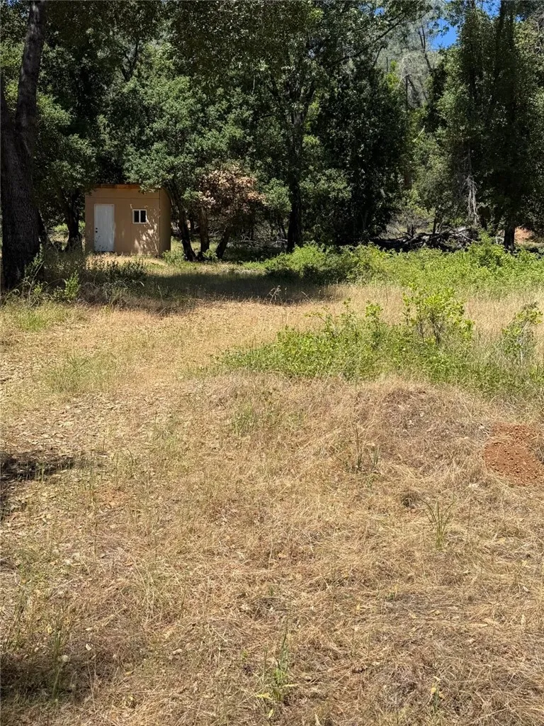 6185 Soda Bay Kelseyville, CA 95451