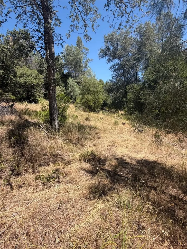 6185 Soda Bay Kelseyville, CA 95451