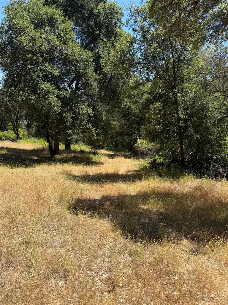 6185 Soda Bay Kelseyville, CA 95451