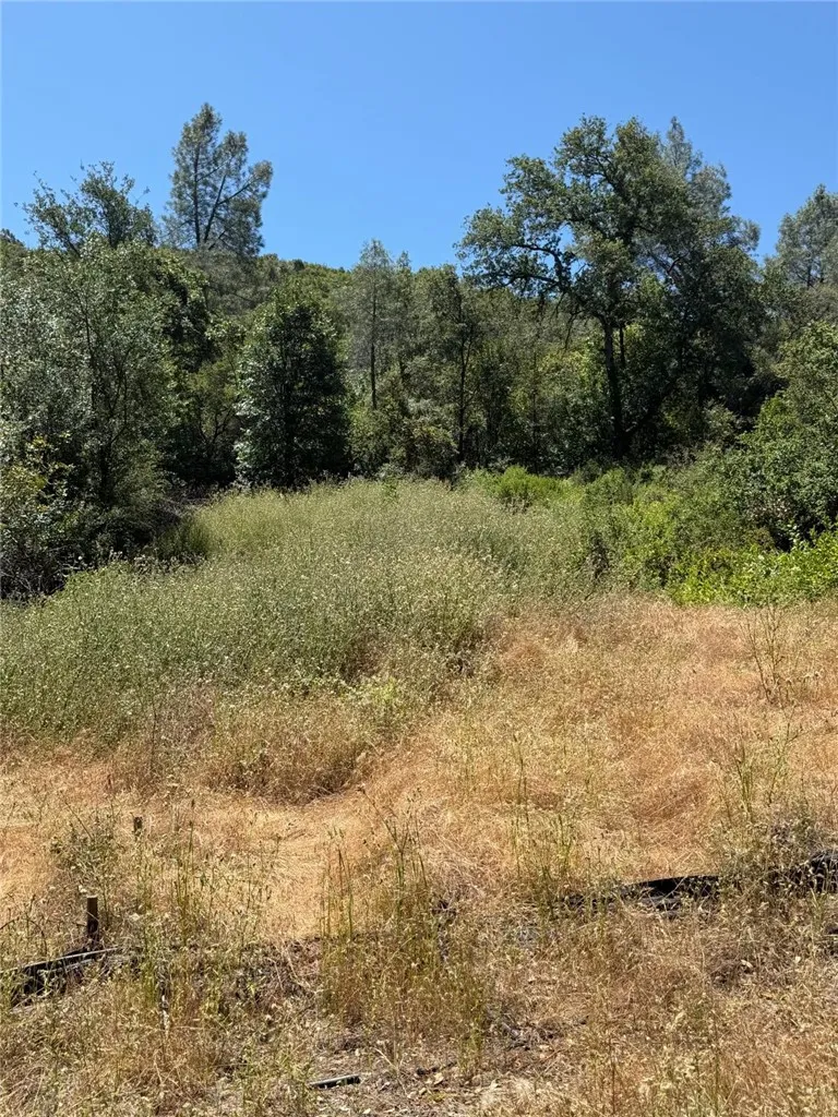 6185 Soda Bay Kelseyville, CA 95451