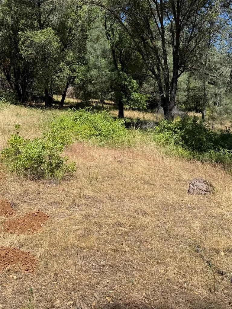 6185 Soda Bay Kelseyville, CA 95451