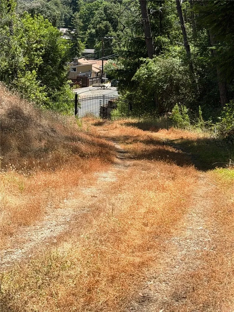 6185 Soda Bay Kelseyville, CA 95451