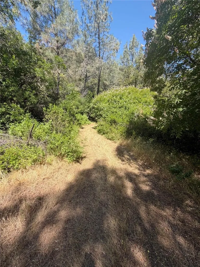 6185 Soda Bay Kelseyville, CA 95451