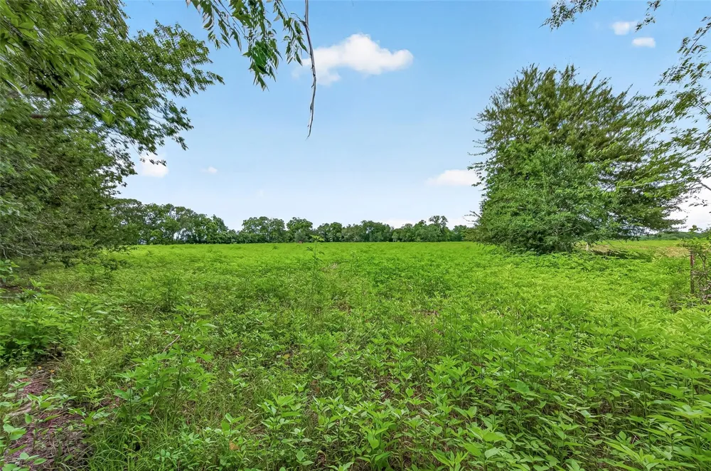 Cr 117 Wharton, TX 77488