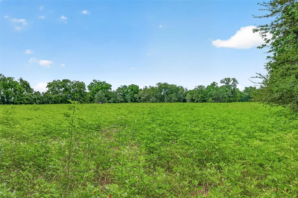 Cr 117 Wharton, TX 77488