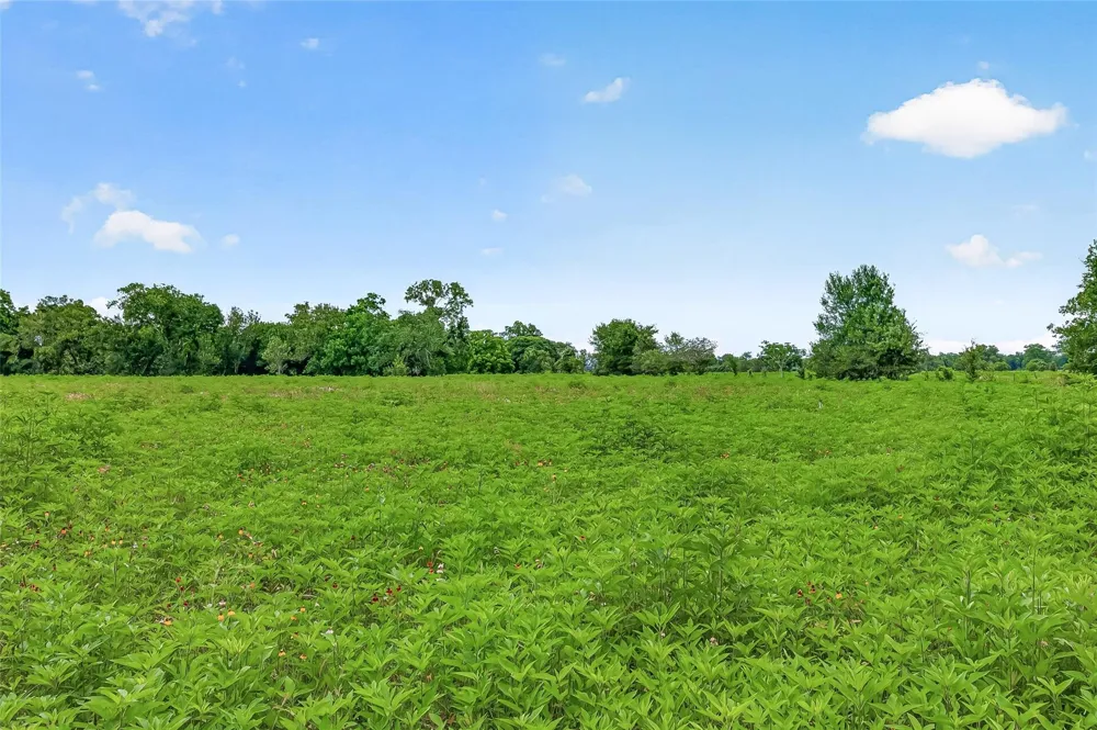 Cr 117 Wharton, TX 77488