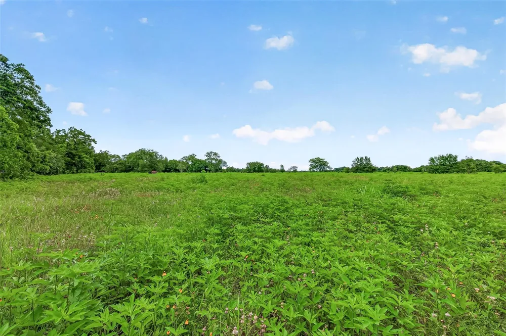 Cr 117 Wharton, TX 77488