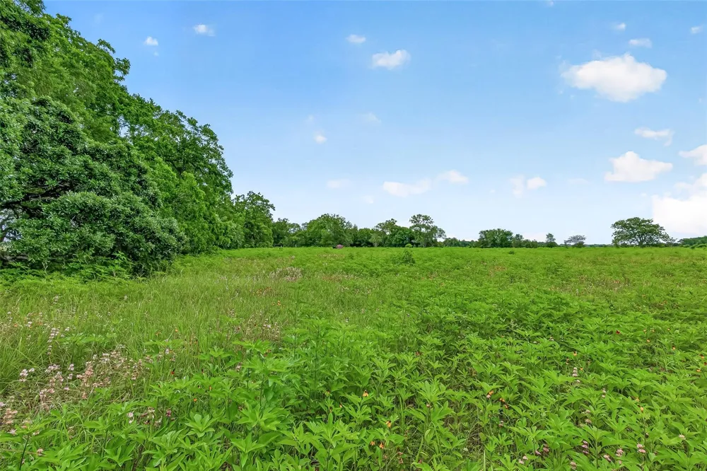 Cr 117 Wharton, TX 77488